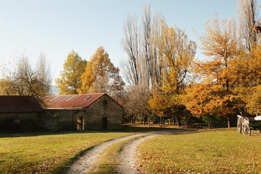 Thurlby Domain // Autumn