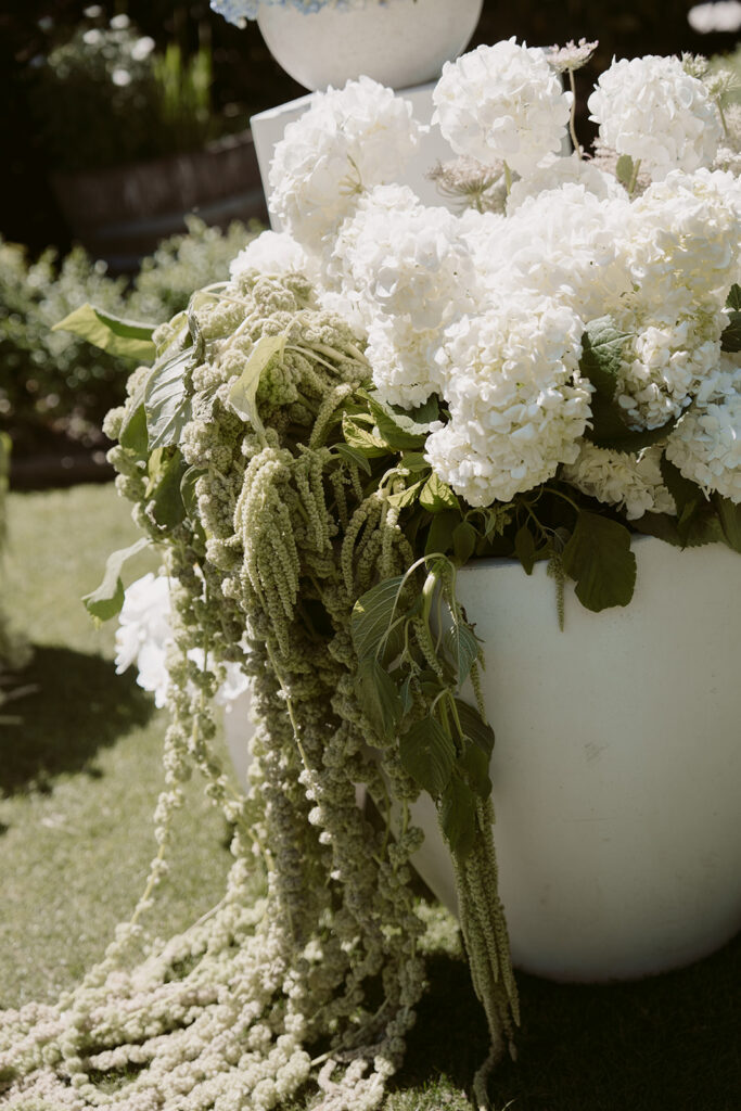 Slay My Day weddings and events directory New Zealand - Orange Blossom - Wedding florist Queenstown