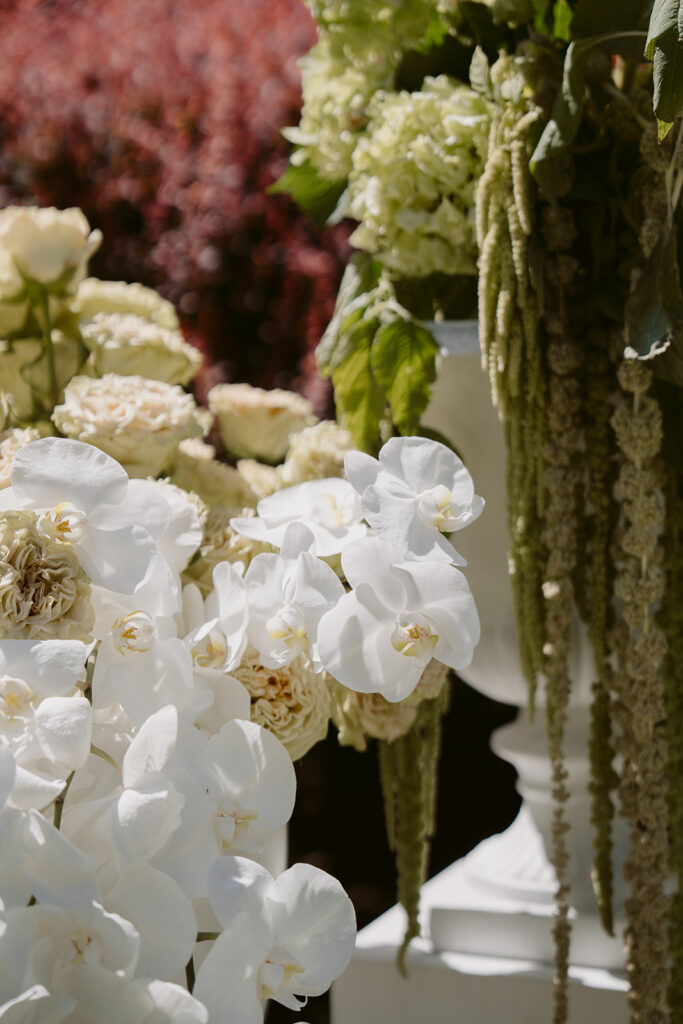 Slay My Day weddings and events directory New Zealand - Orange Blossom - Wedding florist Queenstown