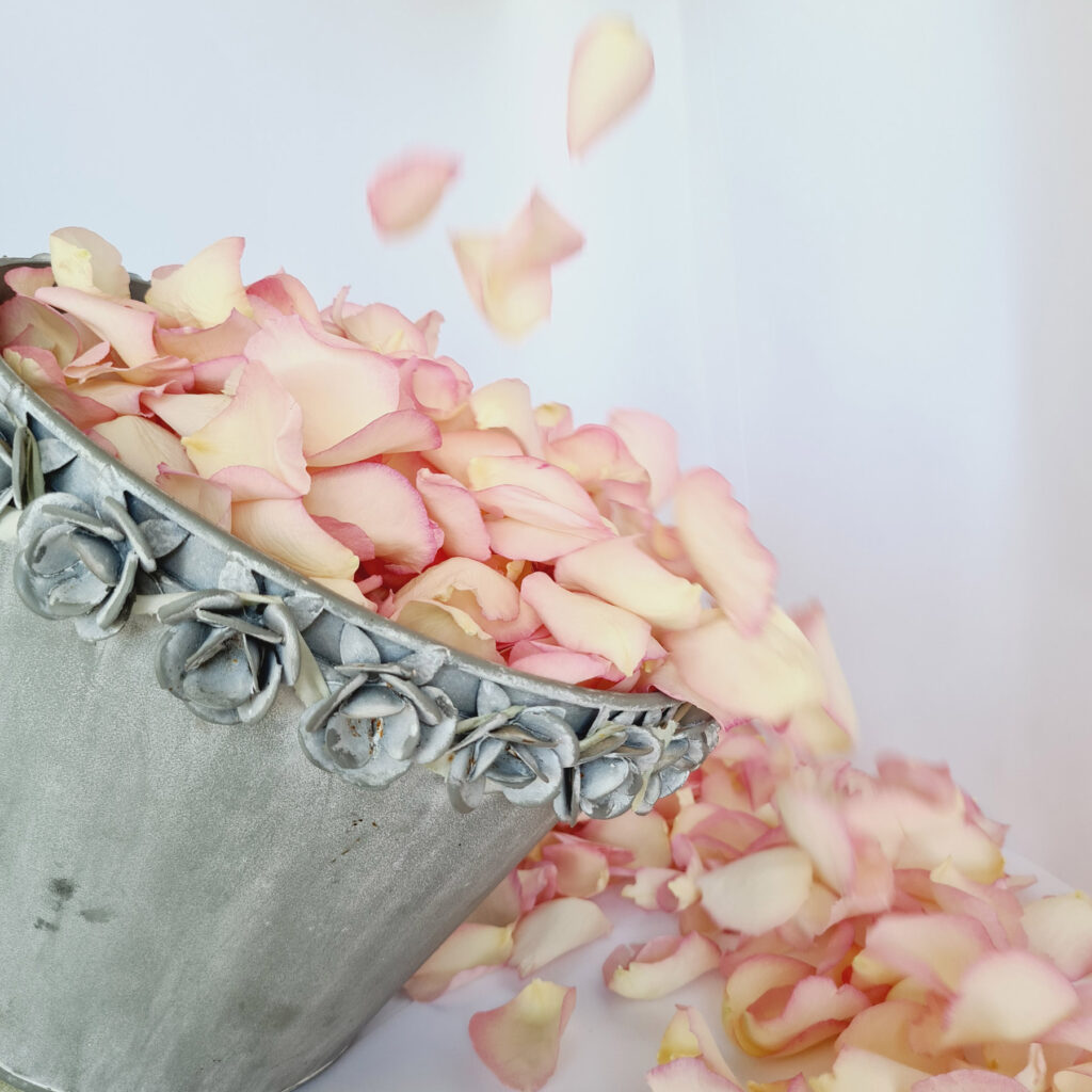 Blush-rose-petals-falling-into-a-silver-bucket.jpg