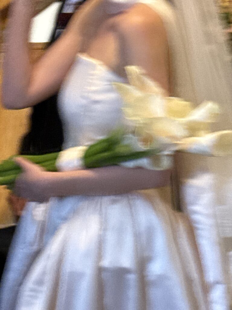 IMG_3916.jpg