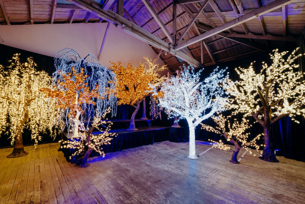 LEDTrees2021-GravityEventsTheming_016_.jpg LEDTrees2021-GravityEventsTheming_016_.jpg