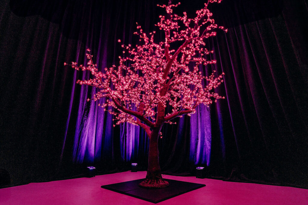 LightUp-LEDTreesPink-GravityEventsHire-NewZealand_-8.jpg LightUp-LEDTreesPink-GravityEventsHire-NewZealand_-8.jpg