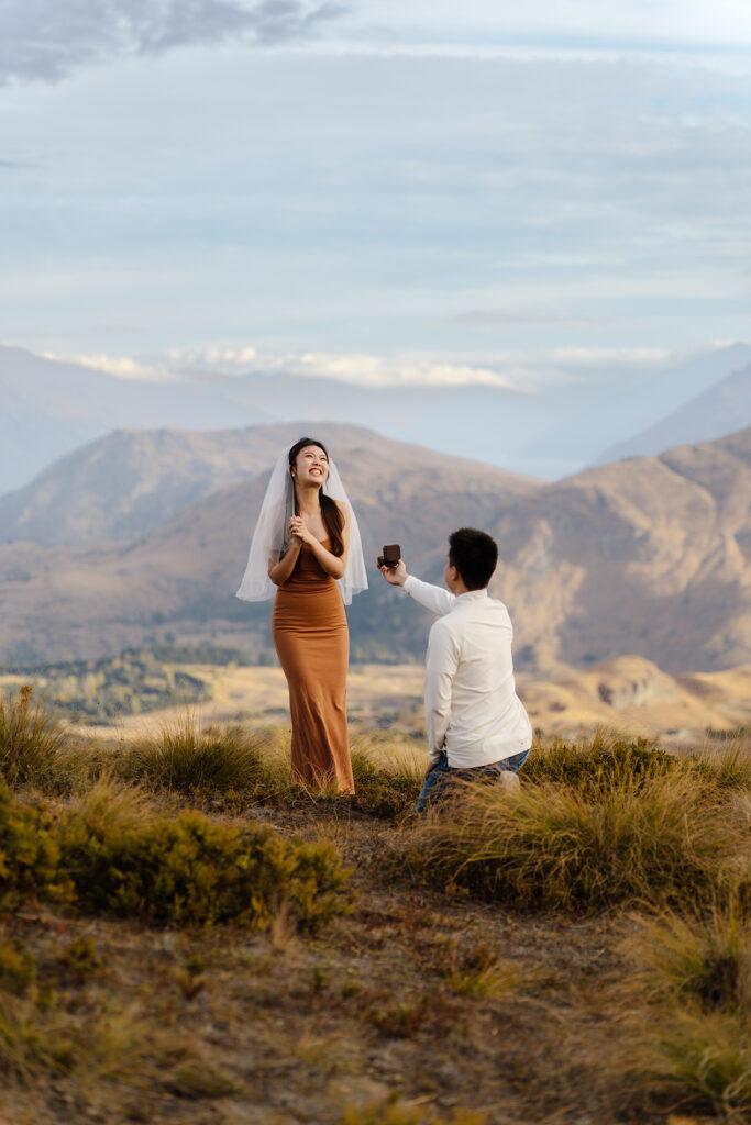 Queenstown-proposal.jpg