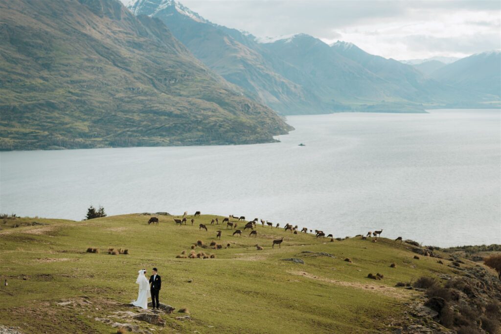 Slay My Day weddings and events directory New Zealand - Shaken and Stirred Wedding planner Queenstown