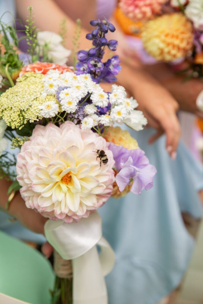 Slay My Day weddings and events directory New Zealand - Cass Takes Pics - Photographer
