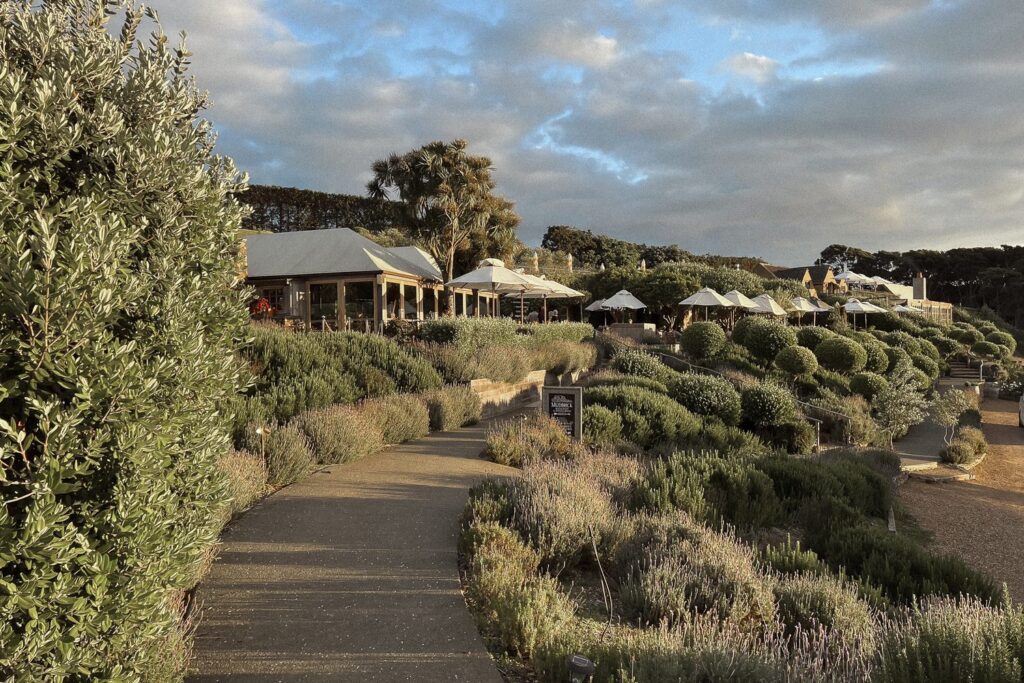 Slay My Day weddings and events directory New Zealand - Social Lovers - Content Creator weddings