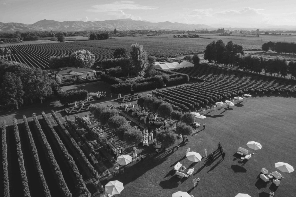 Slay My Day weddings and events directory New Zealand - Hollow and Co Auckland Photographer