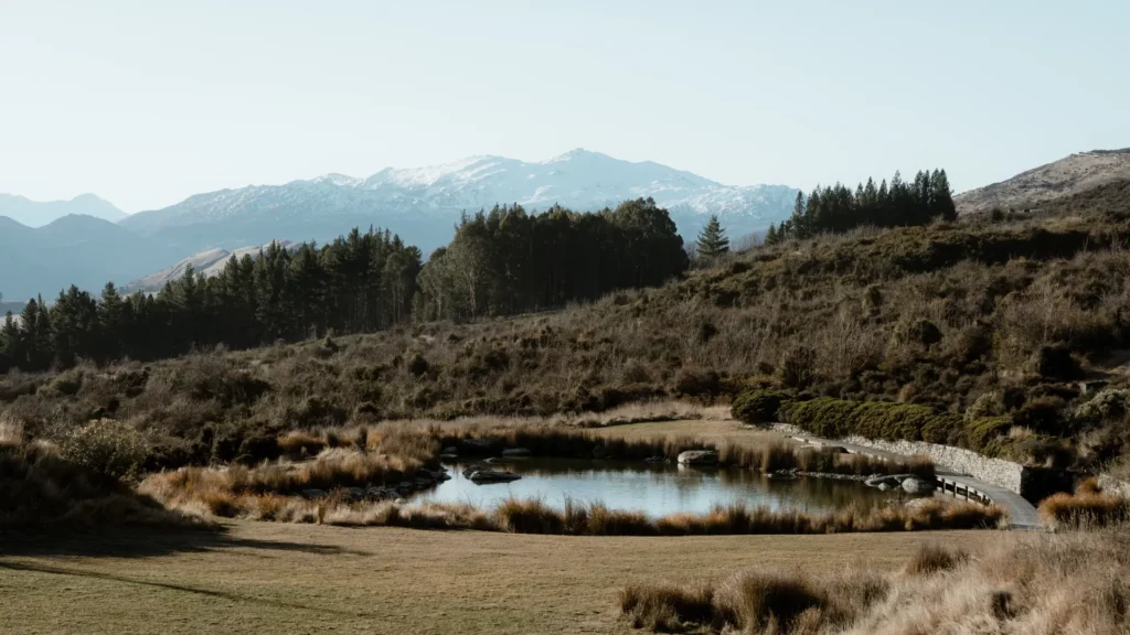 alpine-tarn-with-green-grass-and-surrounding-mountains.webp