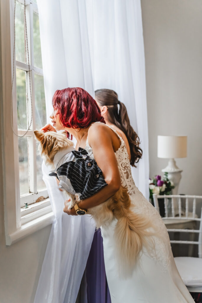 Slay My Day weddings and events directory New Zealand - Phoenix Weddings - Photographer