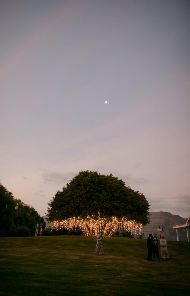 magical-tree-queenstown-wedding-photographer-emilyadamson.jpg