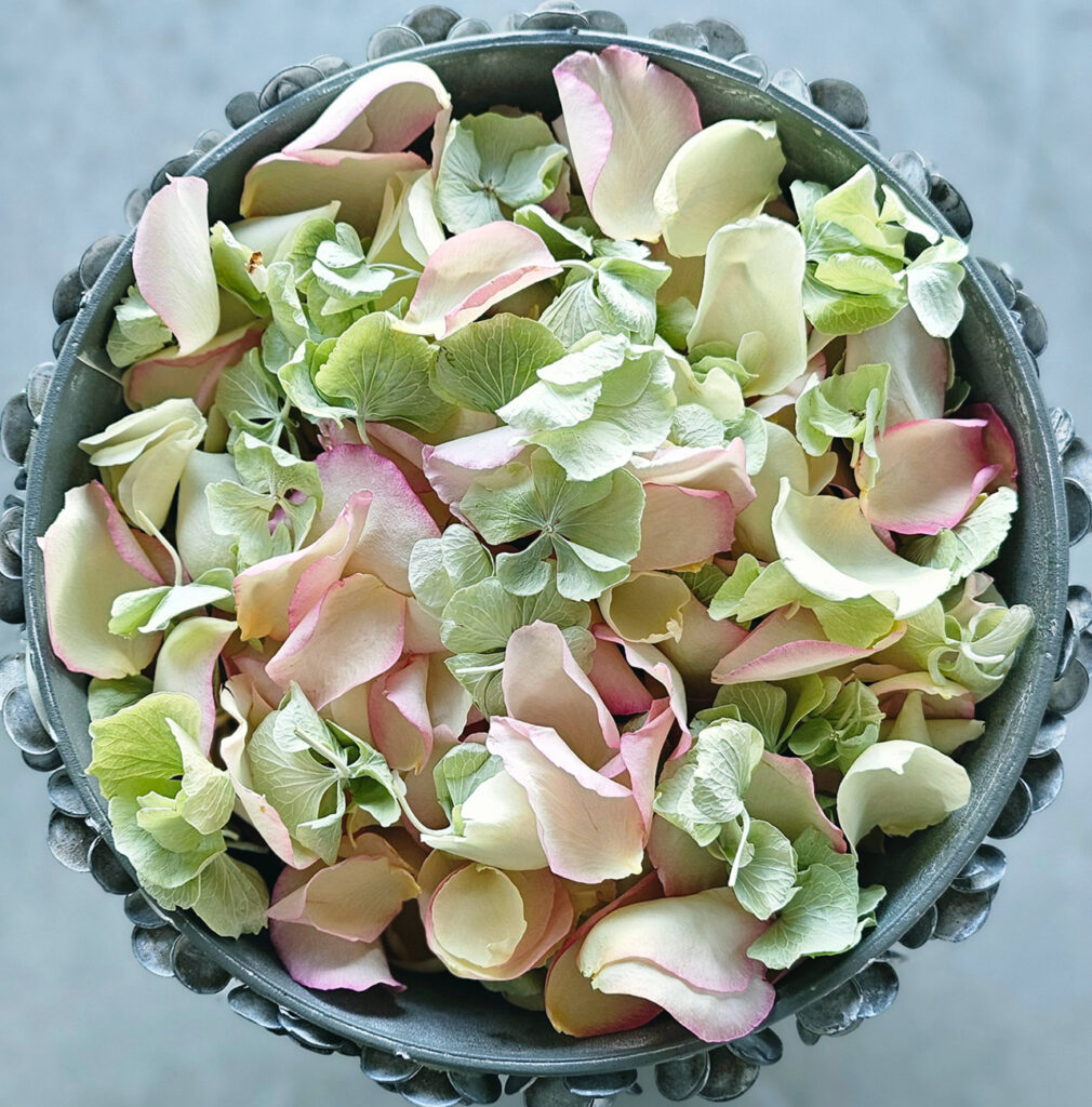 pastel-rose-hydrangea-petals.jpg