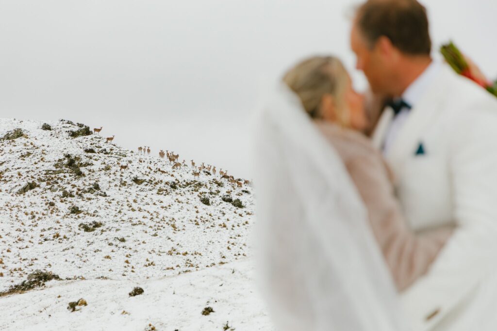 Wild-Union-Co.-Mt-Paradise-Elopement.jpg