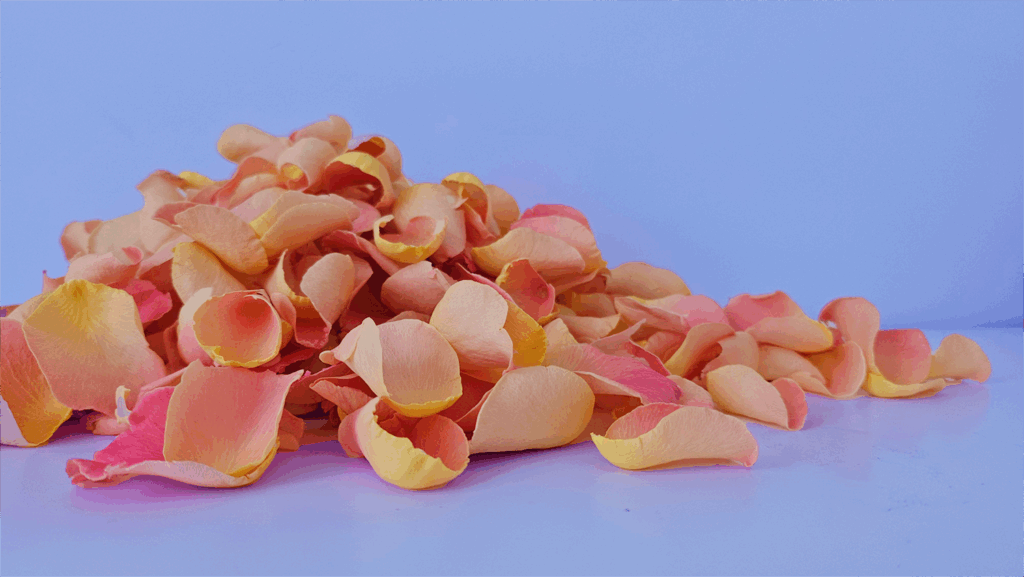 Peach-scatter-blue-balance.png