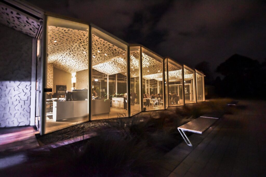 ilex-at-night.jpg