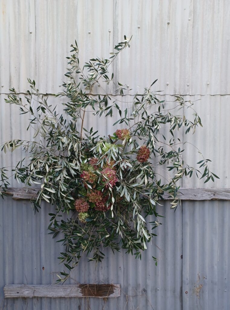Hydrangea-olive.jpg