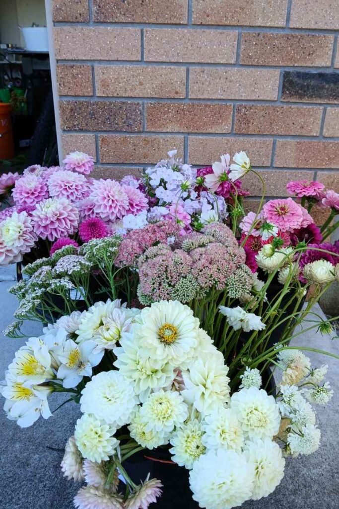 flower-bucket.jpg