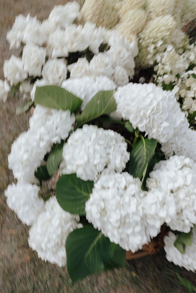 luxury-white-wedding-flowers-new-zealand-hydrangeas.jpg